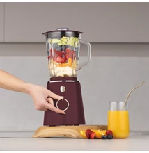 Berlinger Haus Leonardo Turmixgép 1,5 l-es edzett üveg kancsóval (BH-9818) 